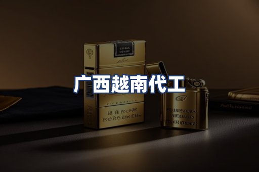 广西越南代工